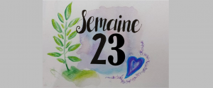 Smeaine 23